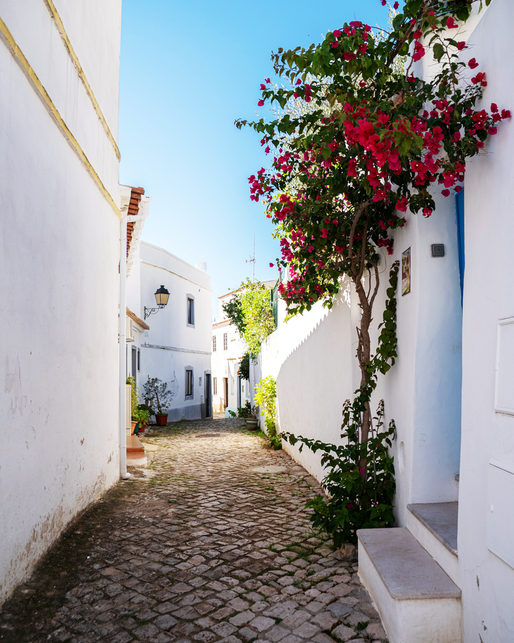 Descobrir o mundo rural algarvio com tudo a que tenho direito!