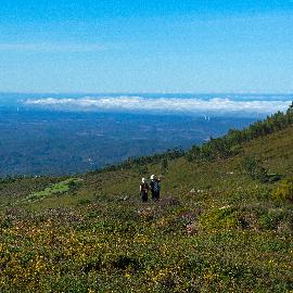 Área de Serviço de Marmelete